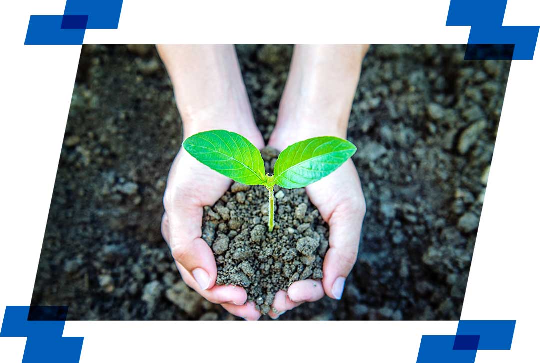 Imagem de destaque do artigo